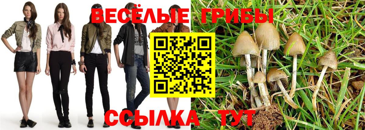 Псилоцибиновые грибы Psilocybine cubensis  закладка  Моршанск  Вход с VPN  Галлюциногенные грибы мицелий 
